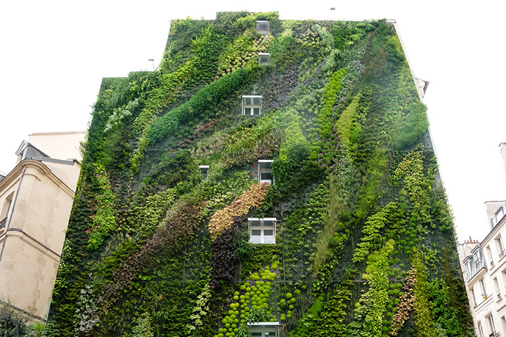 arbo.TECTUS Grüne Fassade